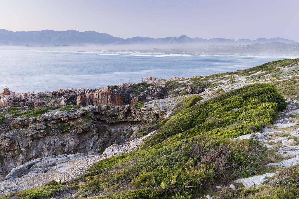 Whalesong Lodge Gansbaai Ngoại thất bức ảnh