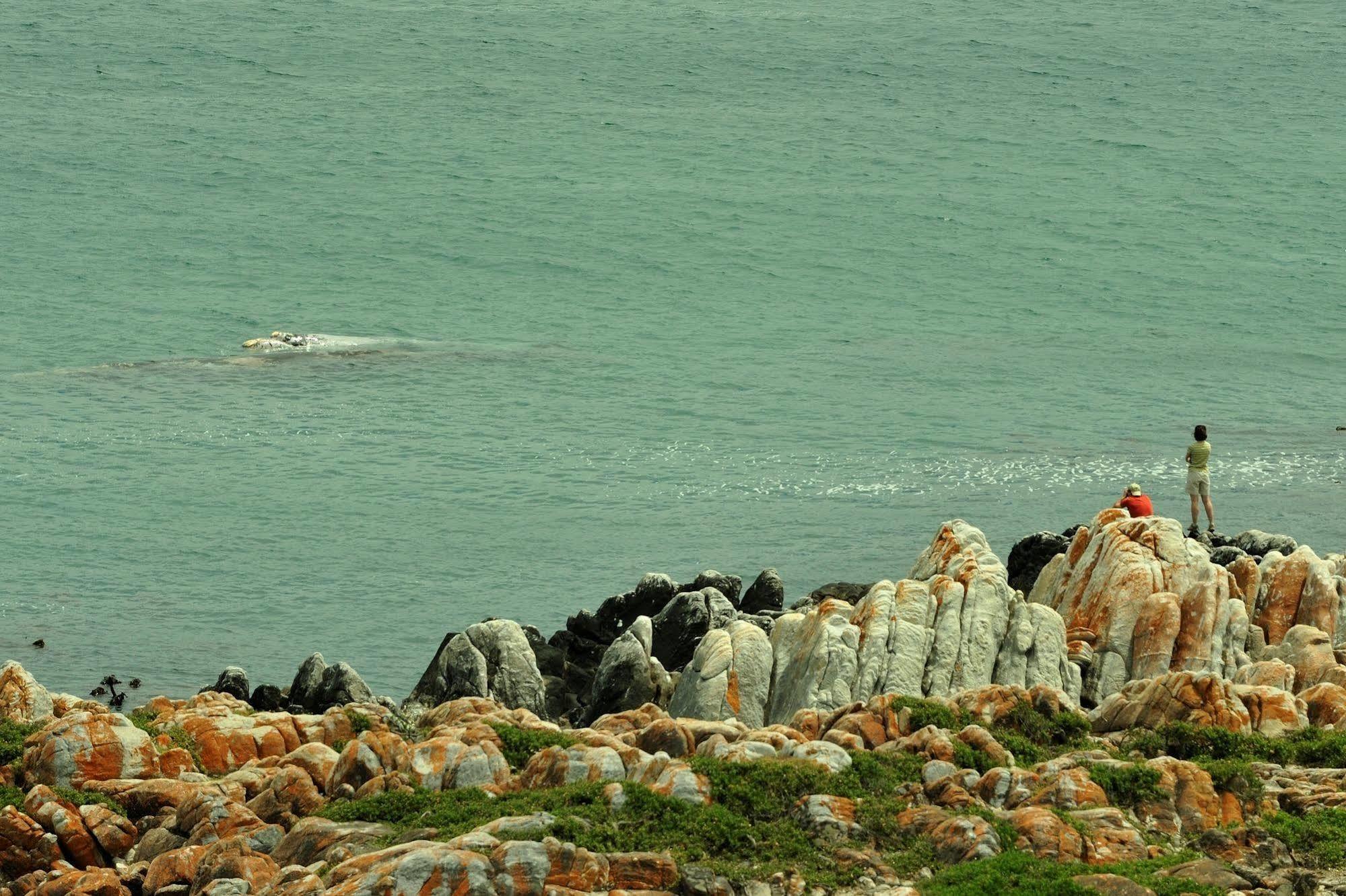 Whalesong Lodge Gansbaai Ngoại thất bức ảnh