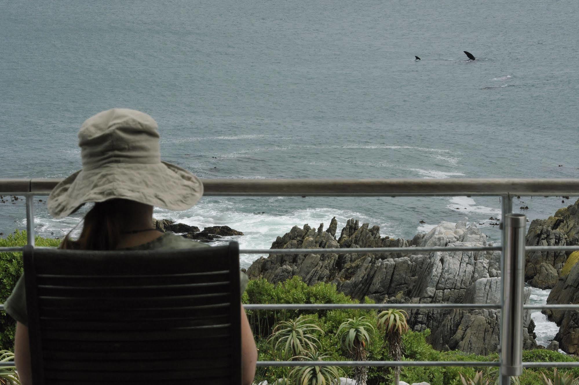 Whalesong Lodge Gansbaai Ngoại thất bức ảnh